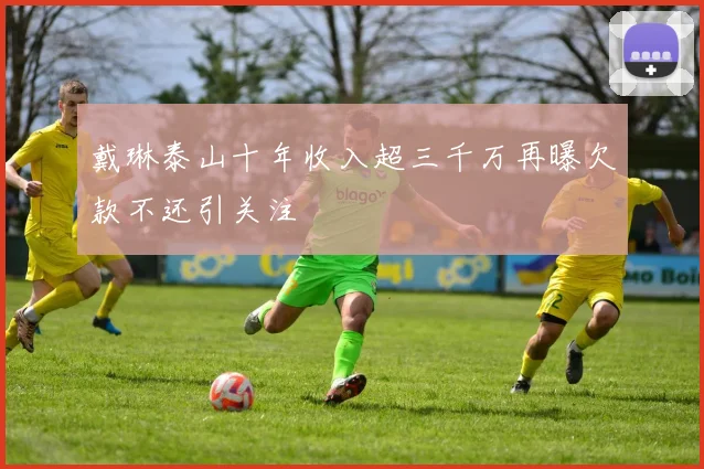 戴琳泰山十年收入超三千万再曝欠款不还引关注