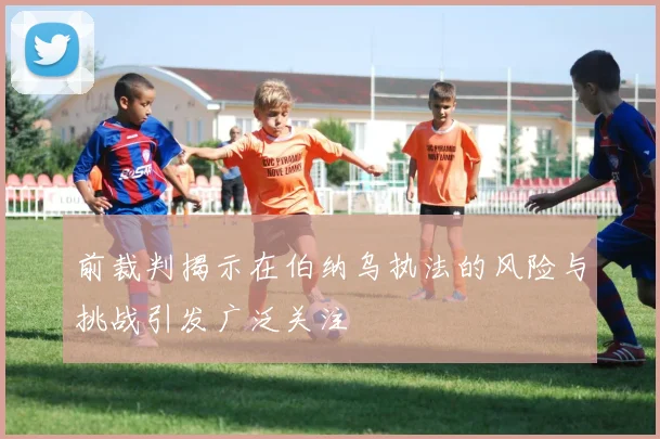 前裁判揭示在伯纳乌执法的风险与挑战引发广泛关注