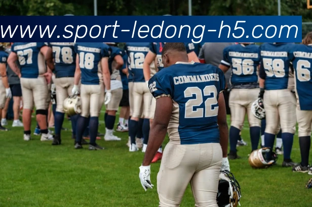 乐动体育平台生态图