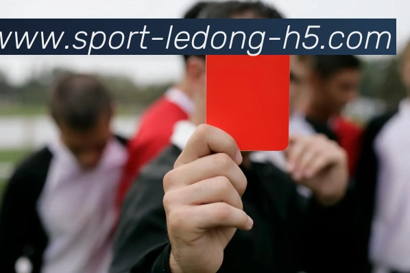 乐动体育APP 封面图